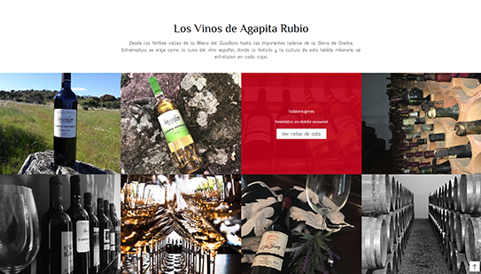 Agencia de Marketing Digital Especializada en Sector vinicola